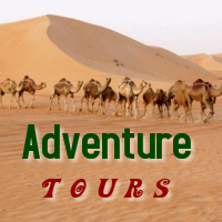 Dubai adventure Tours and safaris